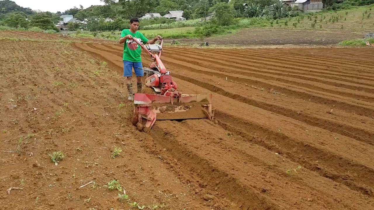 Nông dân cày đất 